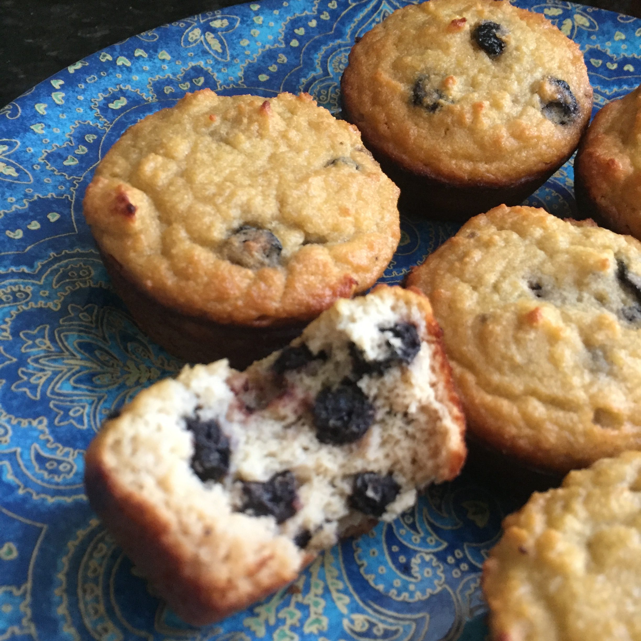 nut free paleo blueberry muffins